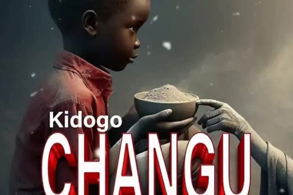 Wyse – KIDOGO CHANGU