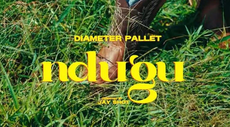 AUDIO | Diameter Pallet – Ndugu | Download Mp3