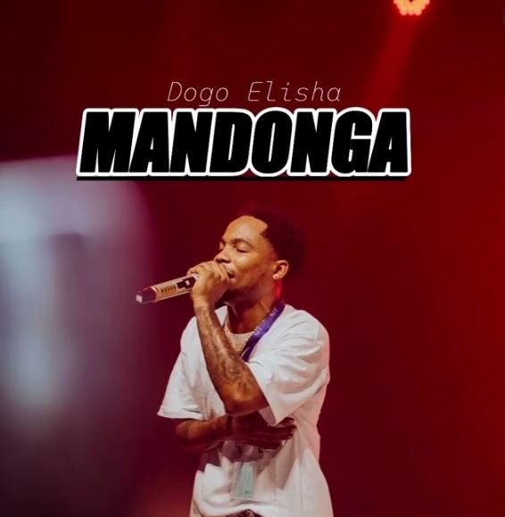 AUDIO | Dogo Elisha – Mandonga | Download Mp3 AUDIO | Dogo Elisha – Mandonga | Download Mp3
